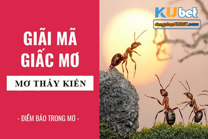 Nằm mơ thấy kiến lửa